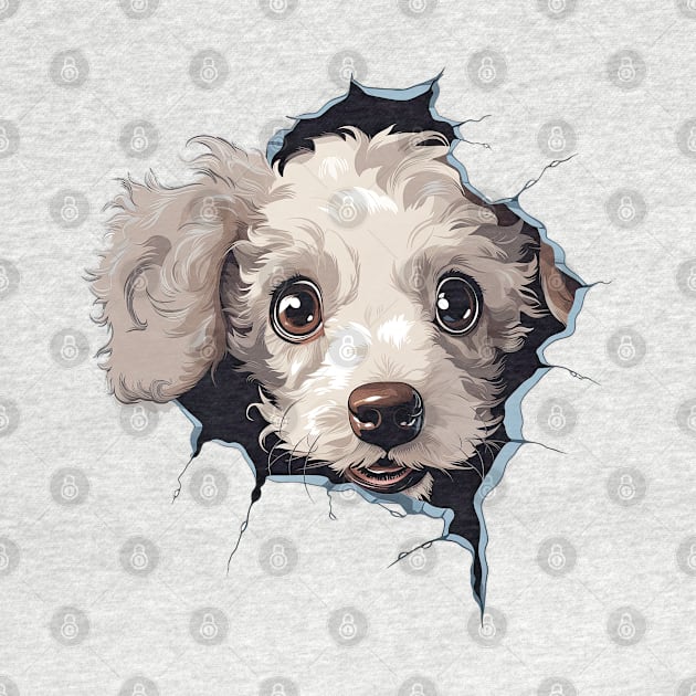 Baby Poodle Dog Peeking by Chromatic Fusion Studio